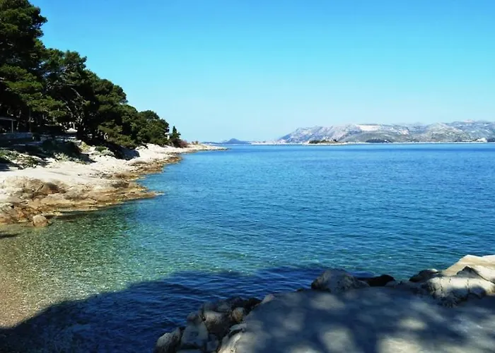 Nice Apartment & Room In Cavtat
