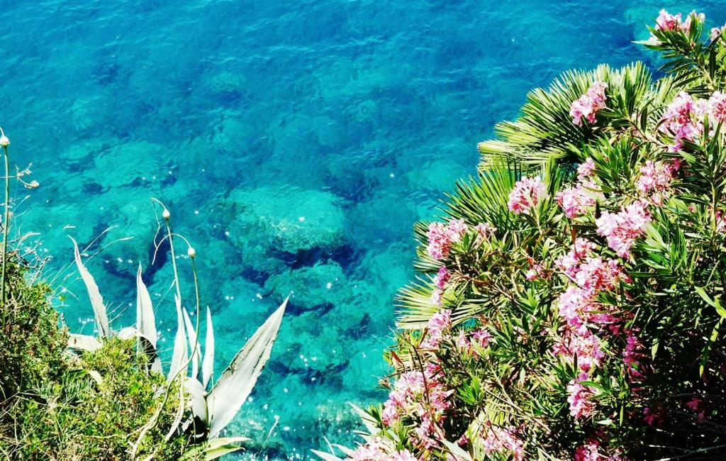 & In * Cavtat